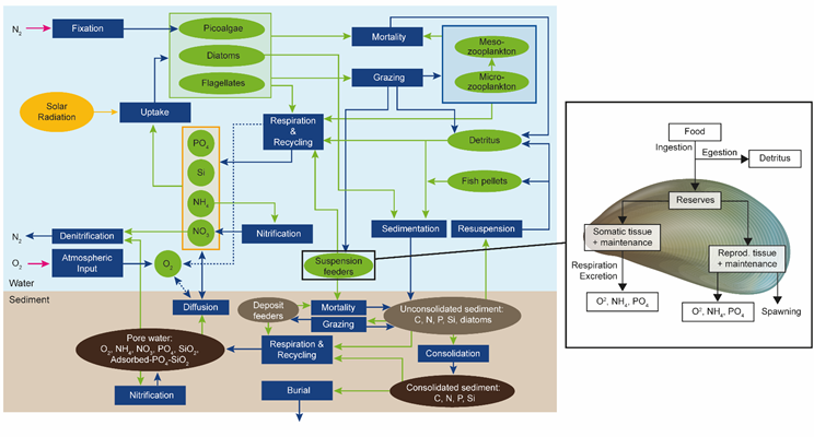 Ecological model